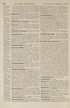 Image of the Page - 1472 - in Pierers Konversations-Lexikon - Front Range - Hallenkirche, Volume 6