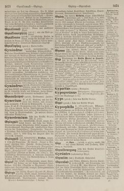 Image of the Page - 1474 - in Pierers Konversations-Lexikon - Front Range - Hallenkirche, Volume 6