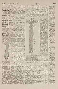 Image of the Page - 1482 - in Pierers Konversations-Lexikon - Front Range - Hallenkirche, Volume 6