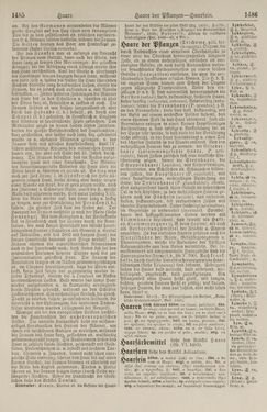 Image of the Page - 1486 - in Pierers Konversations-Lexikon - Front Range - Hallenkirche, Volume 6