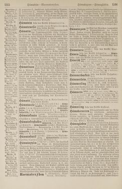 Image of the Page - 1516 - in Pierers Konversations-Lexikon - Front Range - Hallenkirche, Volume 6