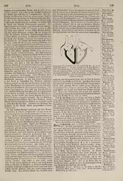 Bild der Seite - 510 - in Pierers Konversations-Lexikon - Haller-Kaltbrenner, Band 7