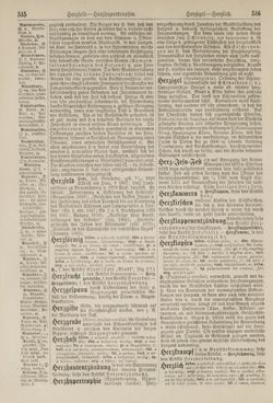 Bild der Seite - 516 - in Pierers Konversations-Lexikon - Haller-Kaltbrenner, Band 7