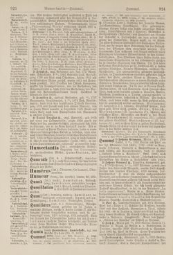 Image of the Page - 924 - in Pierers Konversations-Lexikon - Haller-Kaltbrenner, Volume 7