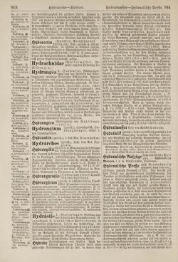 Image of the Page - 964 - in Pierers Konversations-Lexikon - Haller-Kaltbrenner, Volume 7