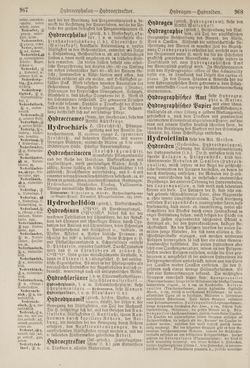 Image of the Page - 968 - in Pierers Konversations-Lexikon - Haller-Kaltbrenner, Volume 7