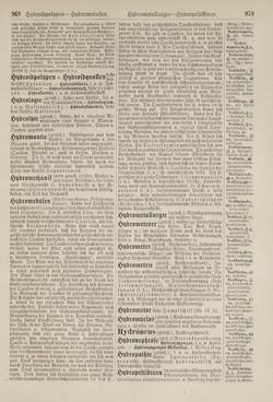 Image of the Page - 970 - in Pierers Konversations-Lexikon - Haller-Kaltbrenner, Volume 7