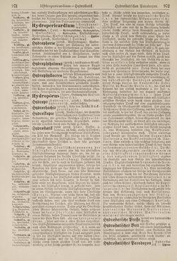 Image of the Page - 972 - in Pierers Konversations-Lexikon - Haller-Kaltbrenner, Volume 7