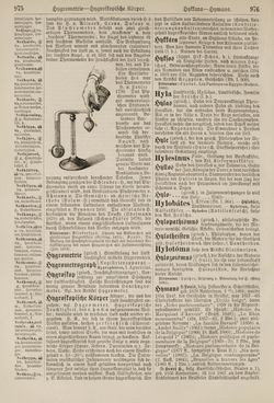 Image of the Page - 976 - in Pierers Konversations-Lexikon - Haller-Kaltbrenner, Volume 7