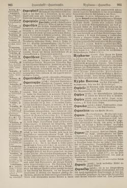 Image of the Page - 984 - in Pierers Konversations-Lexikon - Haller-Kaltbrenner, Volume 7