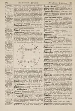 Image of the Page - 988 - in Pierers Konversations-Lexikon - Haller-Kaltbrenner, Volume 7