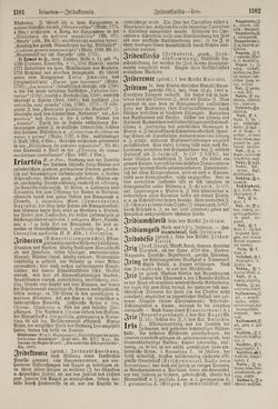 Image of the Page - 1182 - in Pierers Konversations-Lexikon - Haller-Kaltbrenner, Volume 7