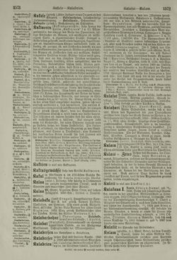 Bild der Seite - 1572 - in Pierers Konversations-Lexikon - Haller-Kaltbrenner, Band 7