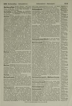 Image of the Page - 1594 - in Pierers Konversations-Lexikon - Haller-Kaltbrenner, Volume 7