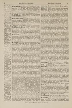 Image of the Page - 4 - in Pierers Konversations-Lexikon - Kalkeinlagerungen-Lübbesee, Volume 8