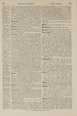 Image of the Page - 104 - in Pierers Konversations-Lexikon - Kalkeinlagerungen-Lübbesee, Volume 8