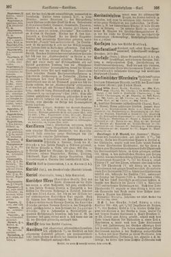 Image of the Page - 108 - in Pierers Konversations-Lexikon - Kalkeinlagerungen-Lübbesee, Volume 8
