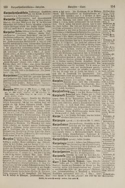 Bild der Seite - 154 - in Pierers Konversations-Lexikon - Kalkeinlagerungen-Lübbesee, Band 8