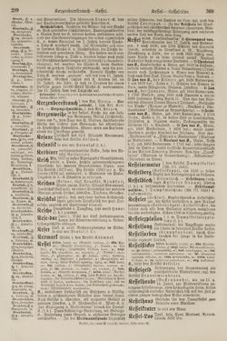Bild der Seite - 300 - in Pierers Konversations-Lexikon - Kalkeinlagerungen-Lübbesee, Band 8