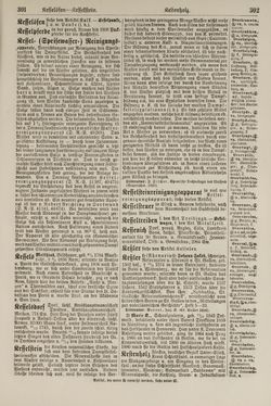 Bild der Seite - 302 - in Pierers Konversations-Lexikon - Kalkeinlagerungen-Lübbesee, Band 8