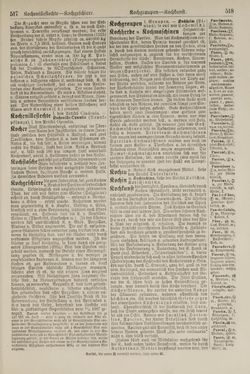 Image of the Page - 518 - in Pierers Konversations-Lexikon - Kalkeinlagerungen-Lübbesee, Volume 8