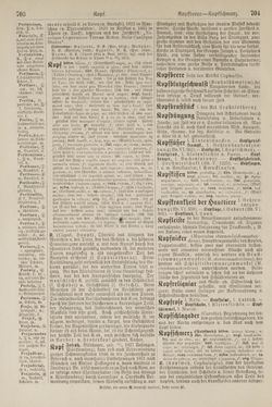 Bild der Seite - 704 - in Pierers Konversations-Lexikon - Kalkeinlagerungen-Lübbesee, Band 8
