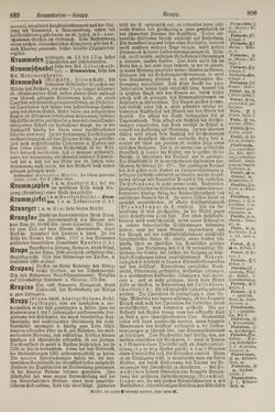 Image of the Page - 890 - in Pierers Konversations-Lexikon - Kalkeinlagerungen-Lübbesee, Volume 8
