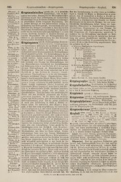 Image of the Page - 896 - in Pierers Konversations-Lexikon - Kalkeinlagerungen-Lübbesee, Volume 8