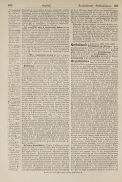 Image of the Page - 900 - in Pierers Konversations-Lexikon - Kalkeinlagerungen-Lübbesee, Volume 8