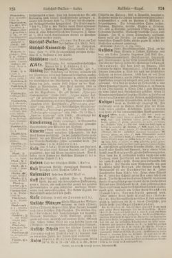 Bild der Seite - 924 - in Pierers Konversations-Lexikon - Kalkeinlagerungen-Lübbesee, Band 8