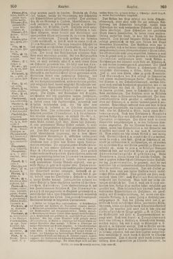 Bild der Seite - 960 - in Pierers Konversations-Lexikon - Kalkeinlagerungen-Lübbesee, Band 8