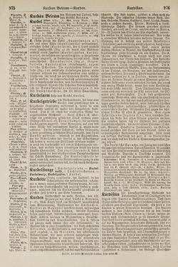 Bild der Seite - 976 - in Pierers Konversations-Lexikon - Kalkeinlagerungen-Lübbesee, Band 8