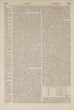 Bild der Seite - 1100 - in Pierers Konversations-Lexikon - Kalkeinlagerungen-Lübbesee, Band 8