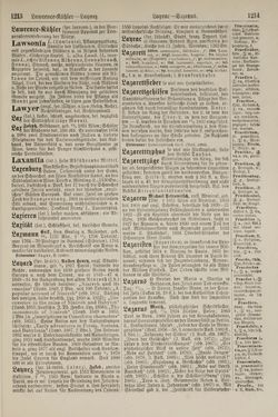 Image of the Page - 1214 - in Pierers Konversations-Lexikon - Kalkeinlagerungen-Lübbesee, Volume 8