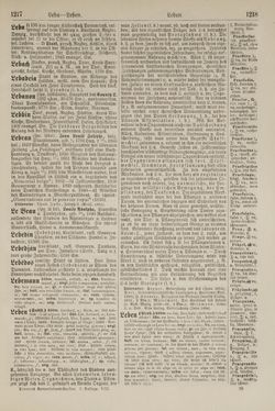 Image of the Page - 1218 - in Pierers Konversations-Lexikon - Kalkeinlagerungen-Lübbesee, Volume 8