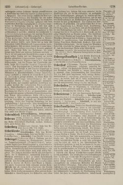 Bild der Seite - 1226 - in Pierers Konversations-Lexikon - Kalkeinlagerungen-Lübbesee, Band 8