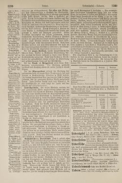 Bild der Seite - 1240 - in Pierers Konversations-Lexikon - Kalkeinlagerungen-Lübbesee, Band 8