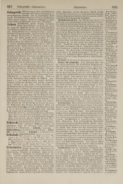 Bild der Seite - 1262 - in Pierers Konversations-Lexikon - Kalkeinlagerungen-Lübbesee, Band 8