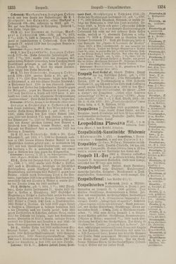 Image of the Page - 1334 - in Pierers Konversations-Lexikon - Kalkeinlagerungen-Lübbesee, Volume 8
