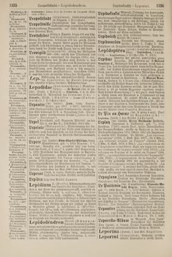 Image of the Page - 1336 - in Pierers Konversations-Lexikon - Kalkeinlagerungen-Lübbesee, Volume 8