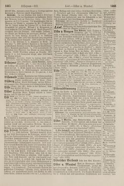 Image of the Page - 1466 - in Pierers Konversations-Lexikon - Kalkeinlagerungen-Lübbesee, Volume 8