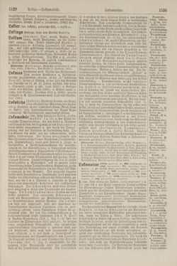 Bild der Seite - 1530 - in Pierers Konversations-Lexikon - Kalkeinlagerungen-Lübbesee, Band 8