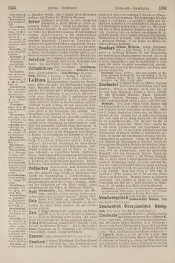 Bild der Seite - 1536 - in Pierers Konversations-Lexikon - Kalkeinlagerungen-Lübbesee, Band 8