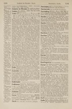 Image of the Page - 1584 - in Pierers Konversations-Lexikon - Kalkeinlagerungen-Lübbesee, Volume 8