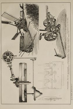 Image of the Page - (000043) - in Pierers Konversations-Lexikon - Lübeck-Ostinato, Volume 9