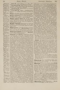 Image of the Page - 112 - in Pierers Konversations-Lexikon - Lübeck-Ostinato, Volume 9