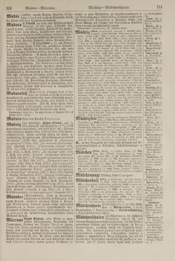 Image of the Page - 114 - in Pierers Konversations-Lexikon - Lübeck-Ostinato, Volume 9