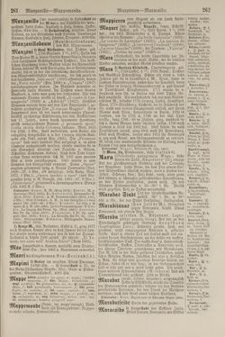 Image of the Page - 262 - in Pierers Konversations-Lexikon - Lübeck-Ostinato, Volume 9
