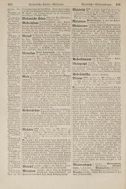 Image of the Page - 484 - in Pierers Konversations-Lexikon - Lübeck-Ostinato, Volume 9