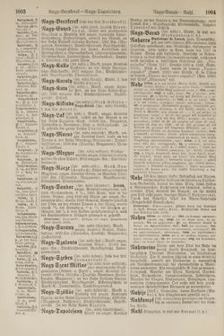 Image of the Page - 1004 - in Pierers Konversations-Lexikon - Lübeck-Ostinato, Volume 9